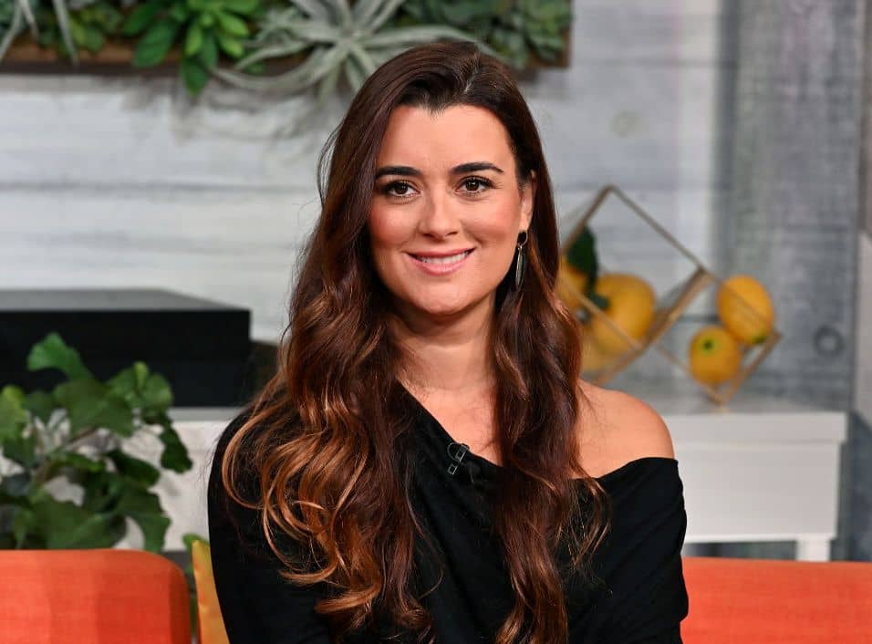 Relative size Perforate Mockingbird Cote de Pablo Biography, Age, Wiki, Height, Weight, Boyfriend, Family &  More -